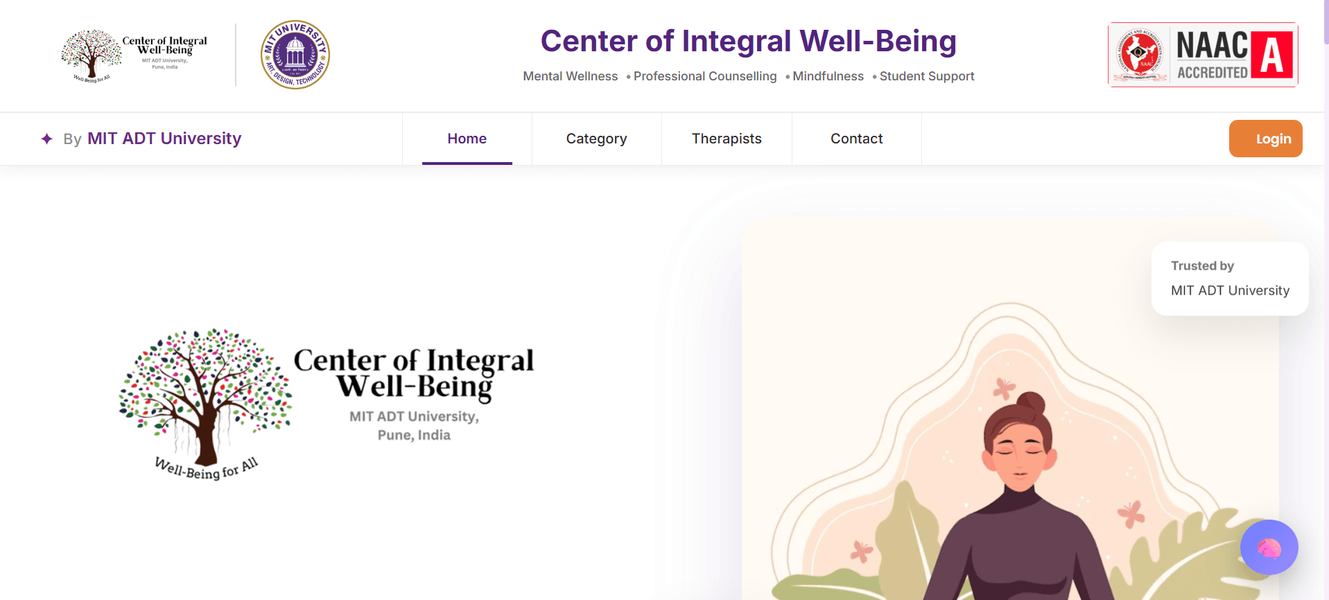 CIWEB website screenshot